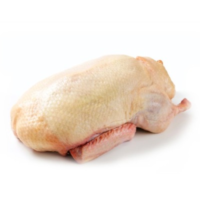 Kaczka świeża 1,6 kg patroszona pekin mrożona PL