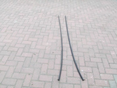 Молдинг кровельная c-max mk2 фото №1