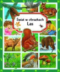 Świat w obrazkach - Las