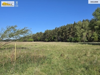 Działka, Szczecin, 7600 m²