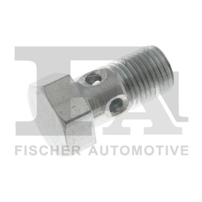 FISCHER PERNO DRAZONA M10X1,0X19 BMW  