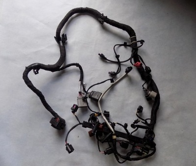 Dw skoda rapid джгут двигуна 04l971612a фото №1