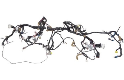WIRE ASSEMBLY INSTLACJA ELECTRICAL LEFT FRONT INFINITI M35 Y50  