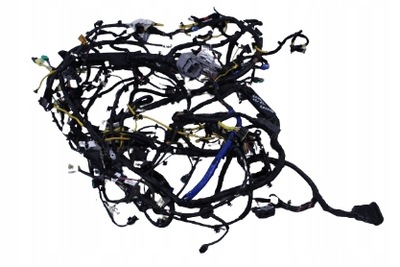 Электропроводка салона kia soul ii ev eco electric 15r. фото №1