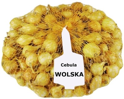Cebula DYMKA 0,25kg 10-15mm Wolska II 250g