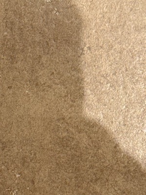 Капот капот pusta фото №1