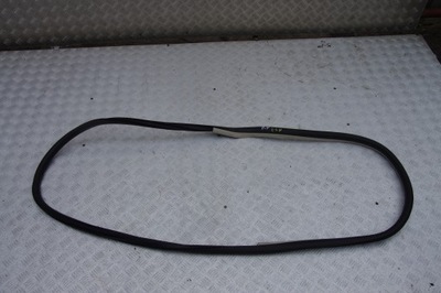 Прокладка двері правий перед espace v фото №1