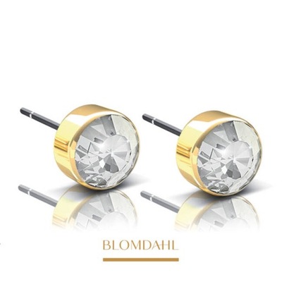 BLOMDAHL KOLCZYKI HIPOALERGICZNE BEZEL CRYSTAL 5 mm