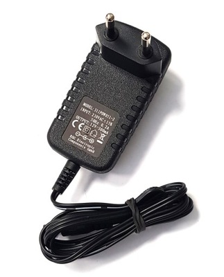 ZASILACZ 12V 0.3A 300mA 311P0W051-2 IMPULSOWY