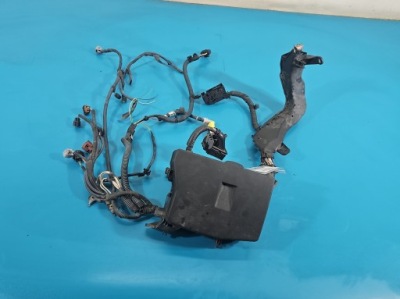 Жгут коробка предохранителей toyota corolla e15 фото №1