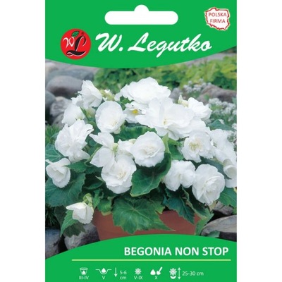 Begonia bulwiasta Non Stop biały 1 szt. - Bulwy...