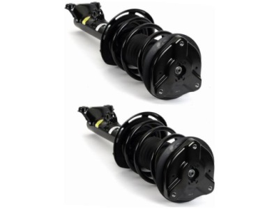 Амортизатори перед arnott sk-3889 фото №1