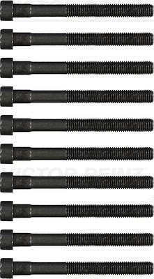 Набір гвинт головки циліндрів reinz 14-32026-01 фото №1