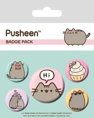 Przypinki do ubrań Pusheen 5 sztuk na plecak