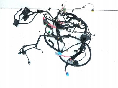 Электропроводка с отсек двигателя renault zoe 2012-2019 фото №1
