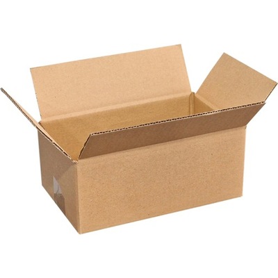 Karton 250x150x100 25x15x10 cm PACZKOMAT B pudełko klapowy 10x