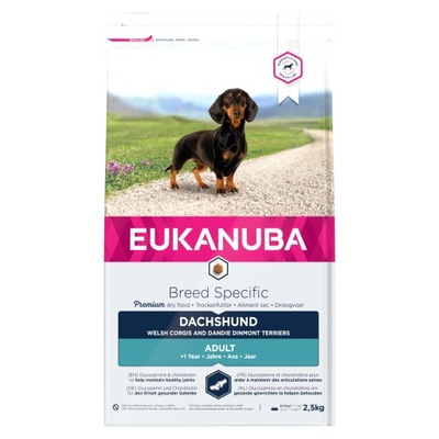 Eukanuba Dry Breed Specific All Dachshund Sucha Karma rasy małe 2,5 kg