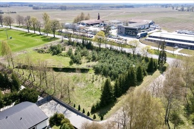 Działka, Falknowo, Susz (gm.), 10000 m²