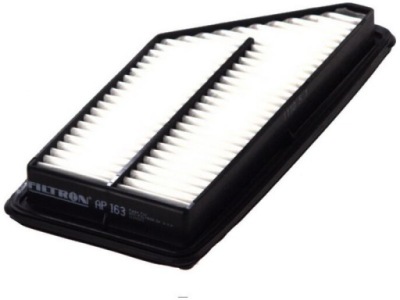 Filtron ap163 фильтр воздуха фото №1