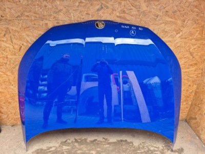 Skoda scala капот фото №1