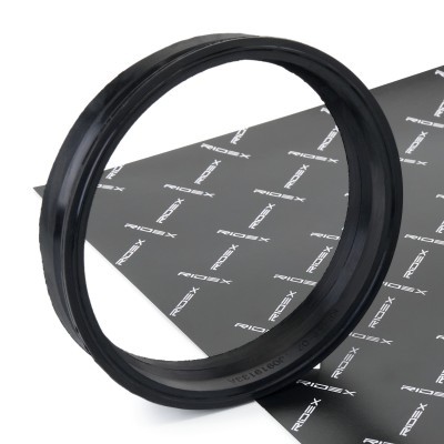 Ridex прокладка насос топливная 143g0002 do vw golf iv schrägheck 1j1 фото №1