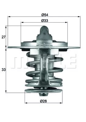 TERMOSTAT, VIDURYS AUŠINAMASIS TX 84 77 MAHLE 