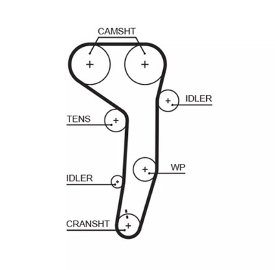 [5607xs] ремень распределительного вала pasuje do: audi a3, a4 b7 фото №1
