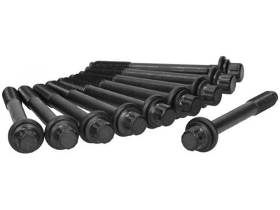 Ajusa 81024100 набор винт головки цилиндров фото №1