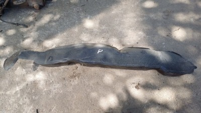 Ford mondeo mk4 шумоизоляция крыла правое фото №1