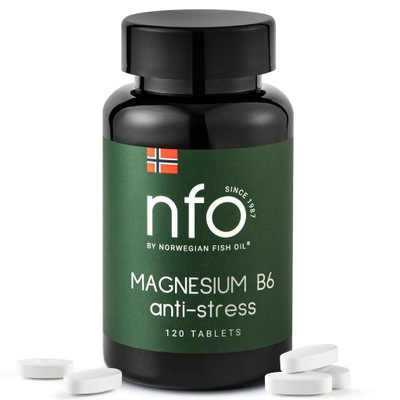 NFO MAGNESIUM B6 [120 tabletek]