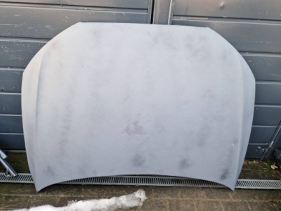 Audi q3 8u капот фото №1