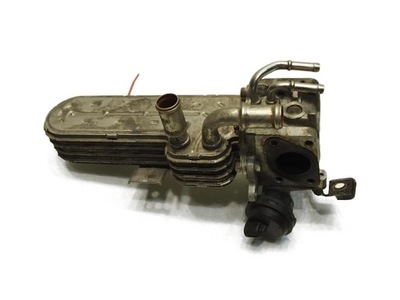 Радиатор выхлопных газов vw passat b6 038131513ad фото №1