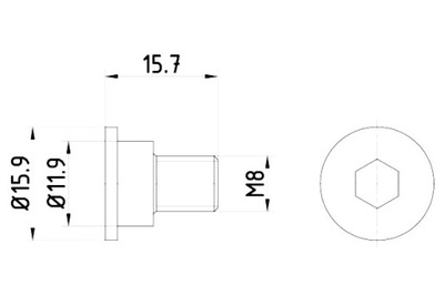 TEXTAR БОЛТ ФИКСИРУЮЩАЯ ТОРМОЗА ДИСКА ПЕРЕД ЗАД M8X1.25X15.7 фото