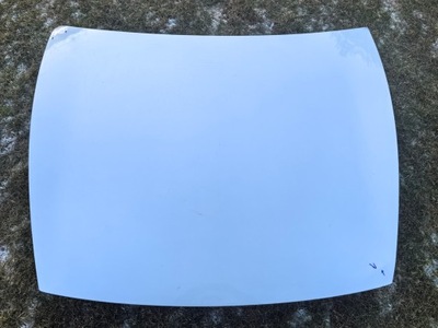 Tesla y lift juniper капот фото №1