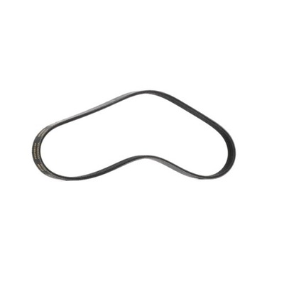 Ремень клиновой многоручьевой ridex 305p0015p фото №1