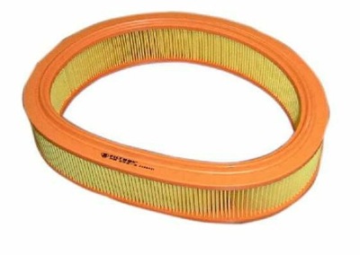 FTR AR232/2 FILTER AIR  