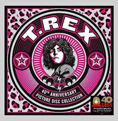 T.REX: T. REX 7 INCH PICTURE DISC BOX SET 5XWINYL