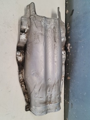 Захист теплова bmw 7 f01 3.0d 7202846 фото №1