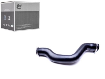 Шланг турбіни renault mascott 3.0 esen skv фото №1