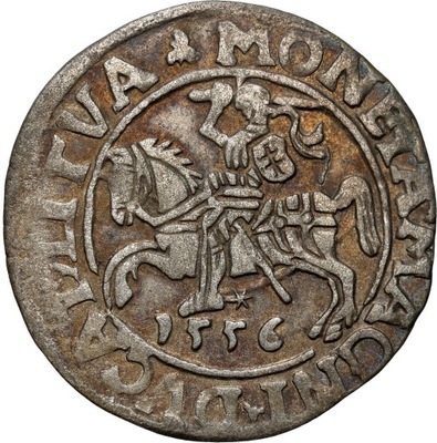 Zygmunt II August. Półgrosz 1556, Wilno