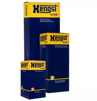 SET FILTERS OILS AIR CABINS HENGST FORD KUGA III 1.5 ECOBOOST  