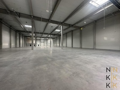 Magazyny i hale, Lutynia, 2377 m²
