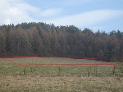 Działka, Rzepedź, Komańcza (gm.), 5460 m²