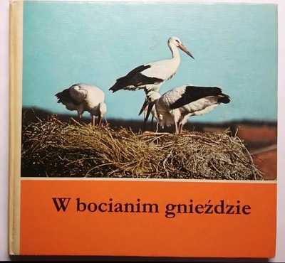 W bocianim gnieździe - Schonert bocian ptaki