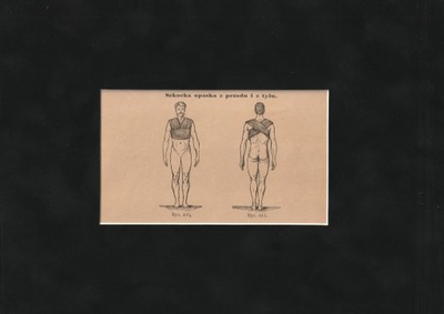 Szkocka opaska - ok. 1900 - passe-partout