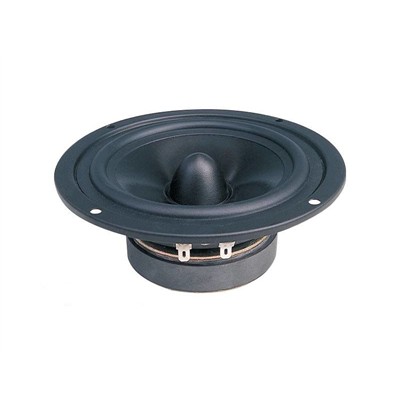 Głośnik 5" 12.5cm 40W 8Ohm Dibeisi DBS-G5001