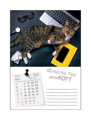 Koty kotki 2024 cats kalendarz ścienny kocury zabawne mruczki