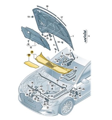 BRIDA DE PARABRISAS PROTECCIÓN RYNNA AUDI A7 C8 S7 RS7  