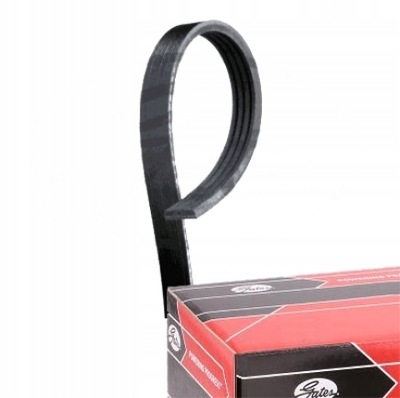 Gates 4pk1540 ремень клиновой многоручьевой фото №1