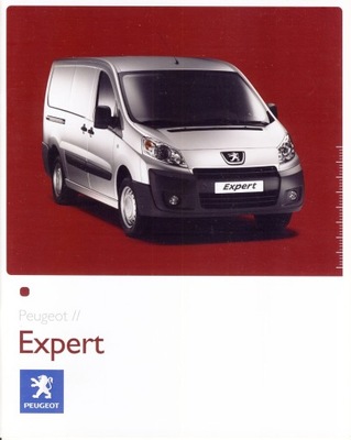 PEUGEOT EXPERT PROSPEKT 2007 POLACO  